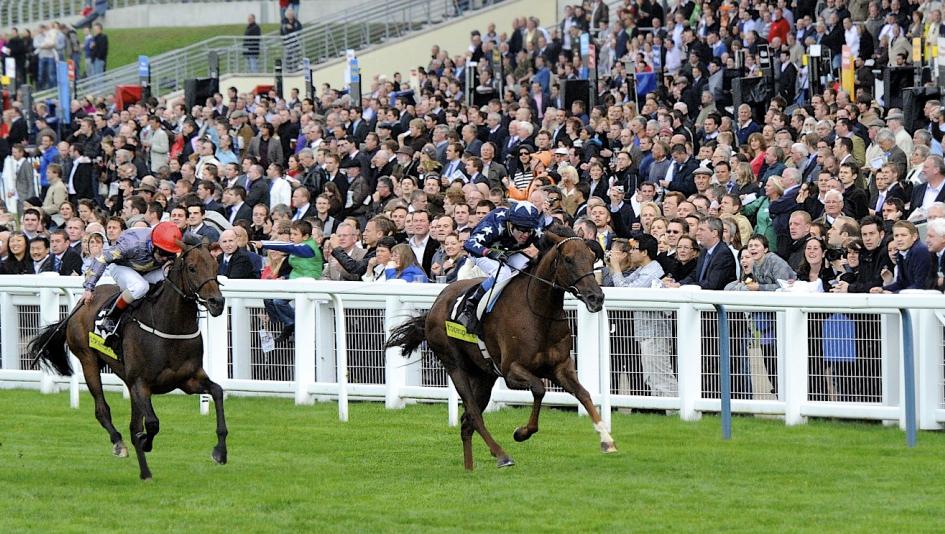 Cross-Sport Betting: How to Successfully Bet on Multi-Sport Events